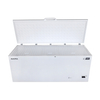 -60 Horizontal 456 Liters Ultra Low Temperature Tuna Freezer