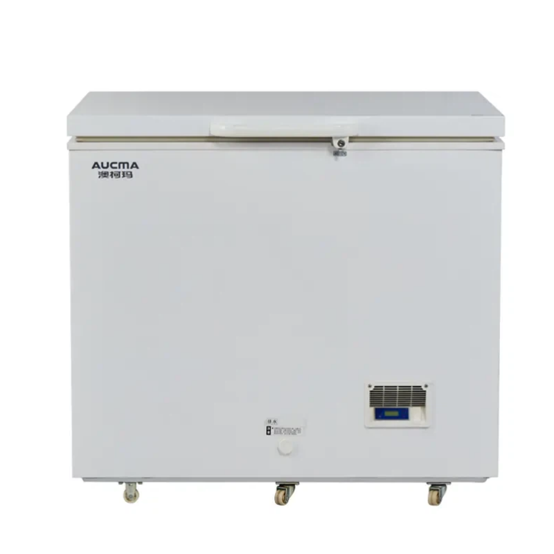 Ice-lined passive storage device Ice-lined passive storage device