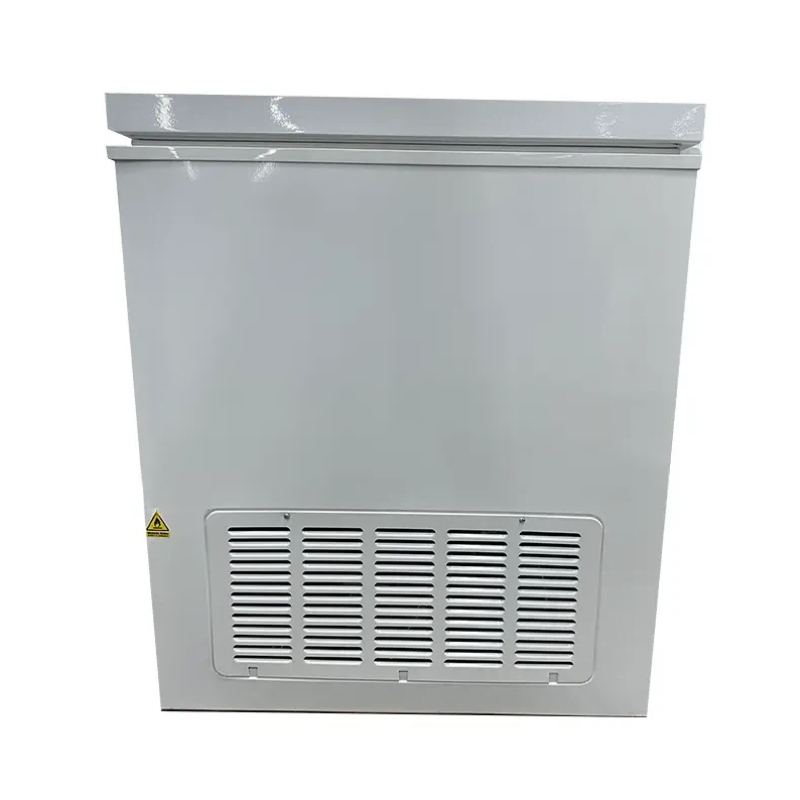 Ice-lined passive storage device