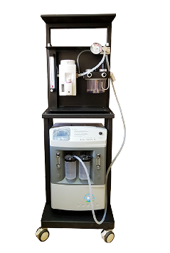 Oxygen solutions for Vet